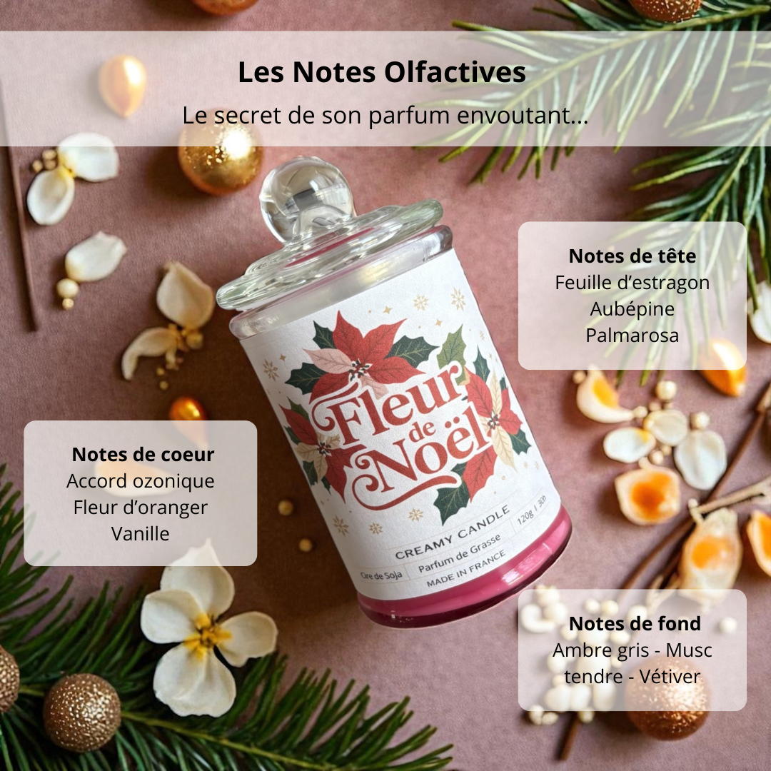 Bougie Parfumée - Fleur de Noël