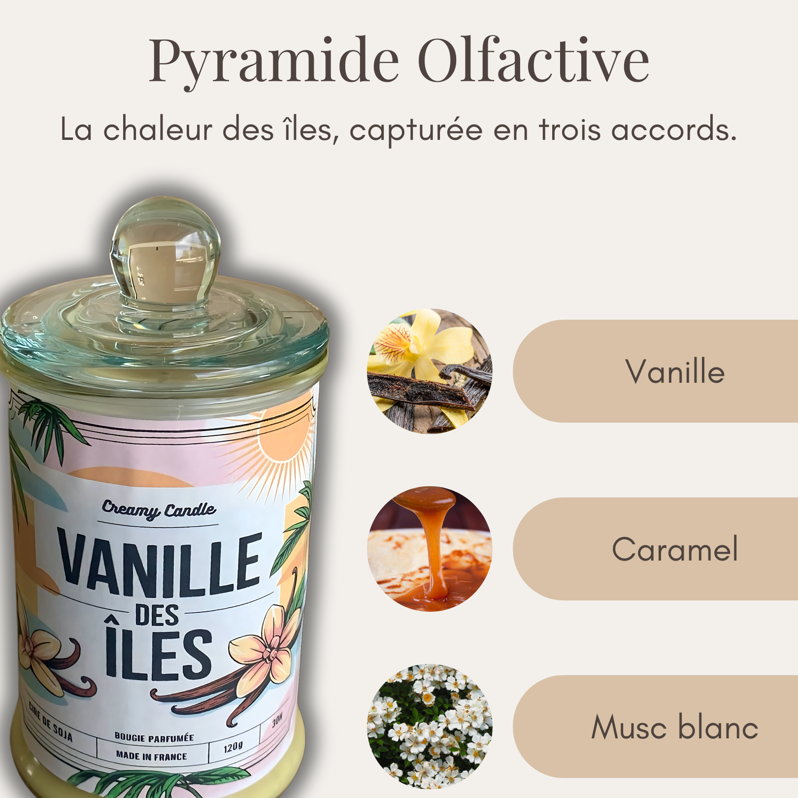 Bougie Parfumée - Vanille des Îles