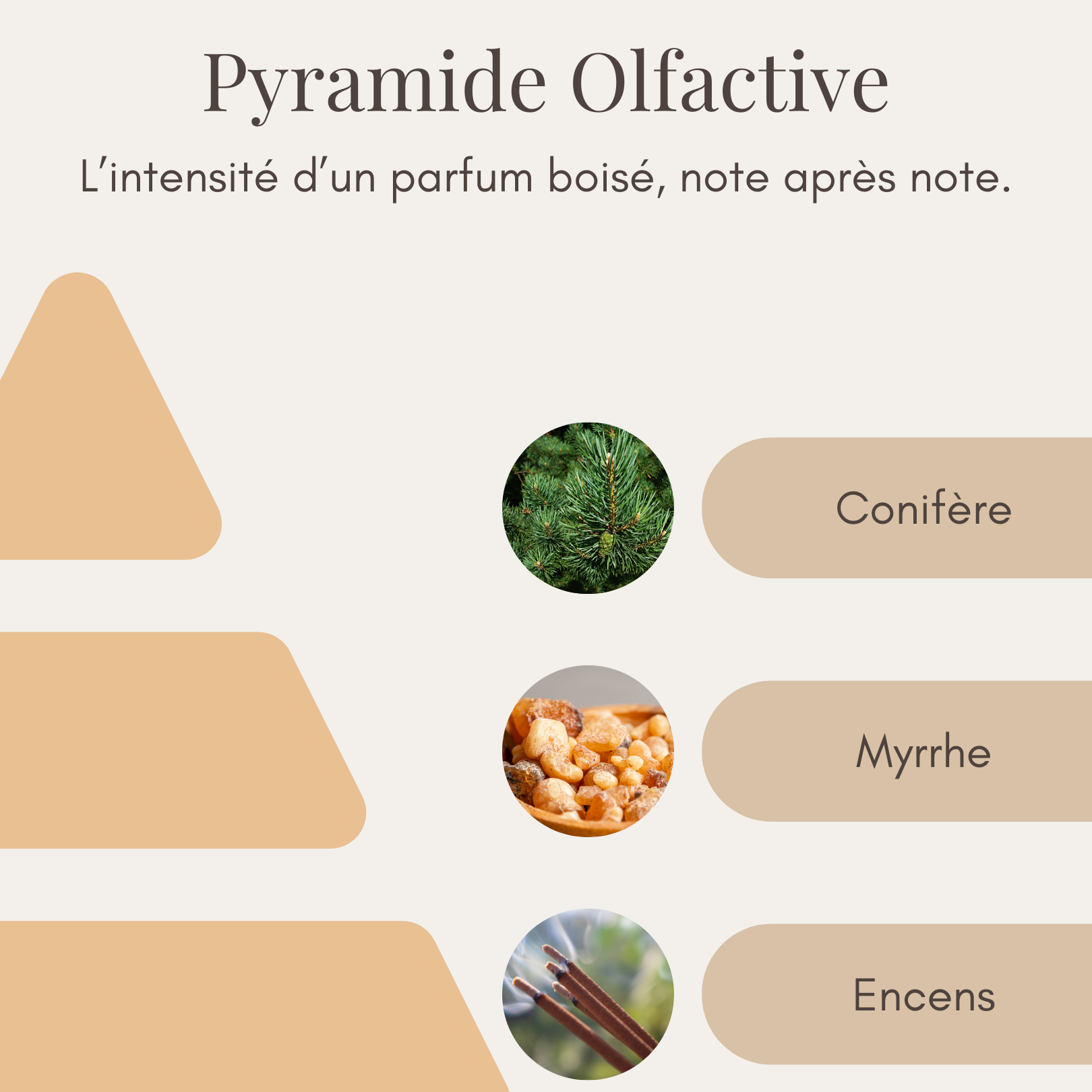 Bougie Parfumée - Balade en Forêt