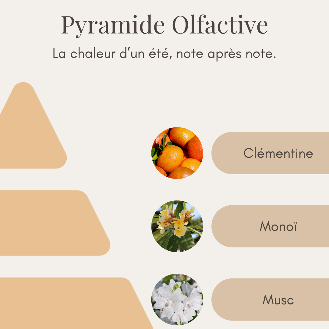Bougie Parfumée - Clémentine Monoï