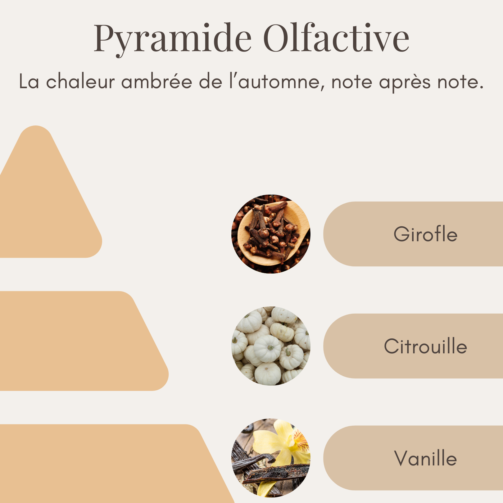 Bougie Parfumée - Citrouille Blanche Ambrée