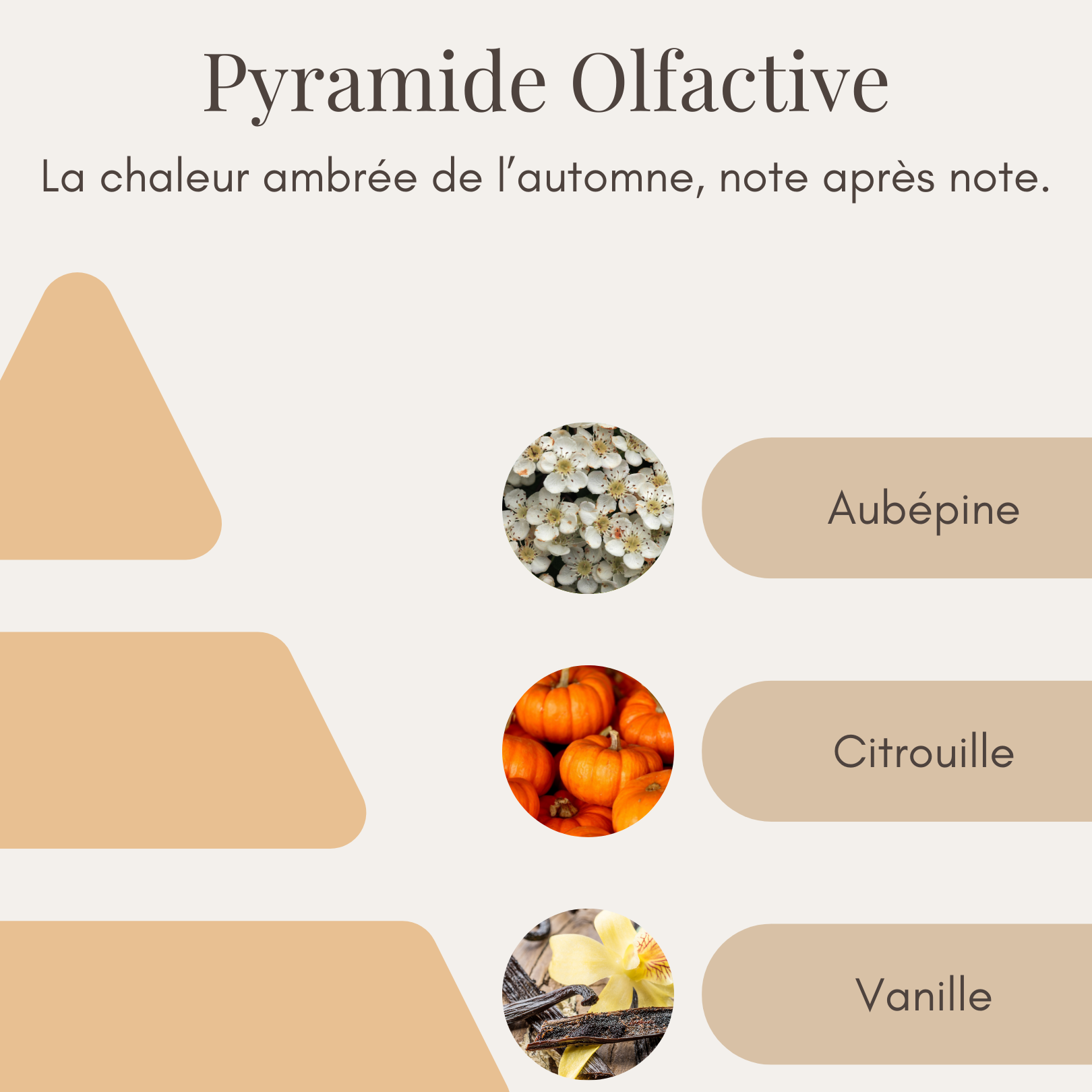 Bougie Parfumée - Citrouille Merveilleuse