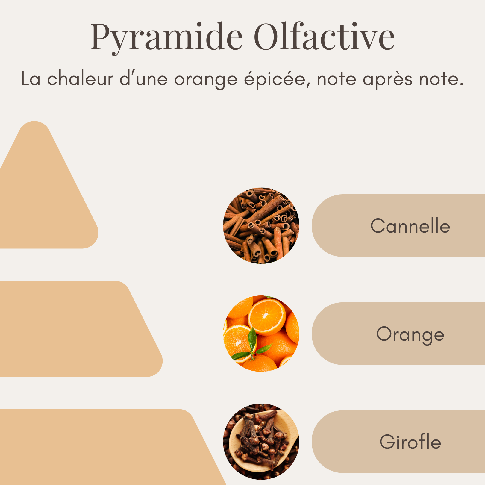 Bougie Parfumée - Orange Épicée