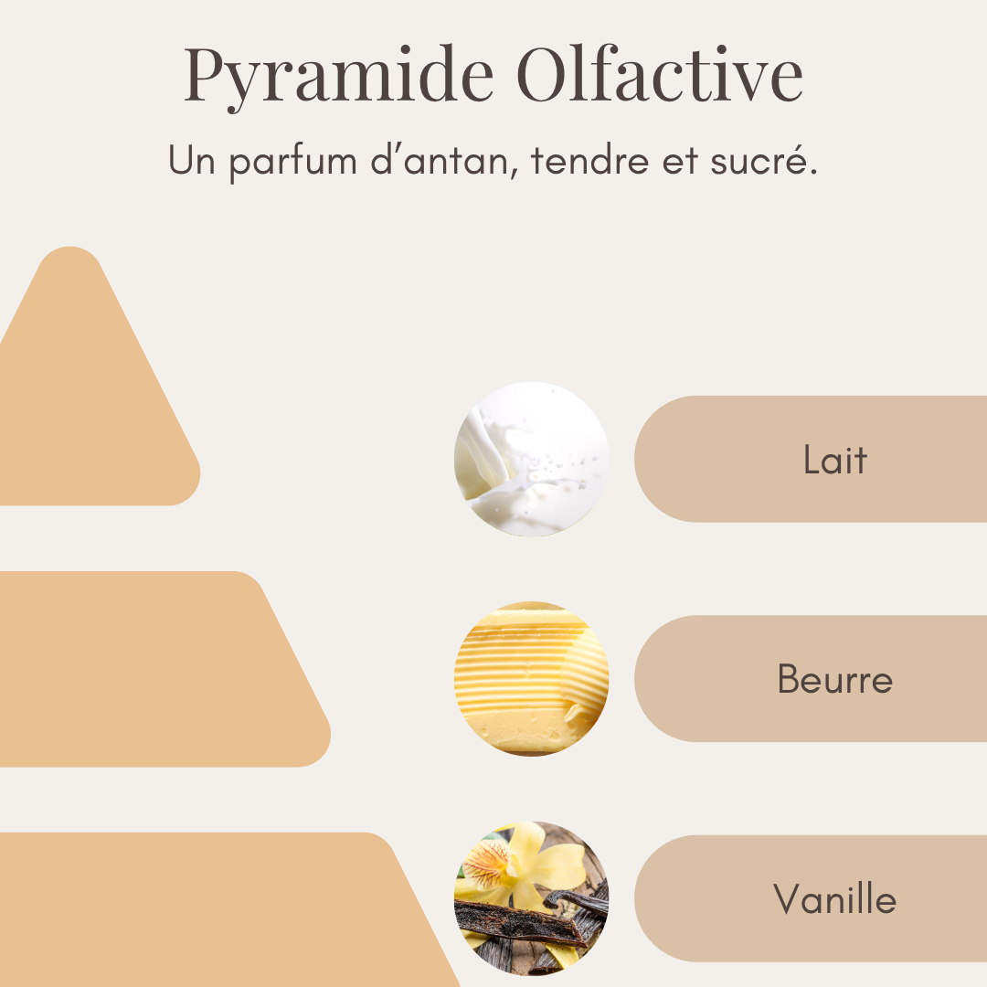 Bougie Parfumée - Madeleine d'Antan