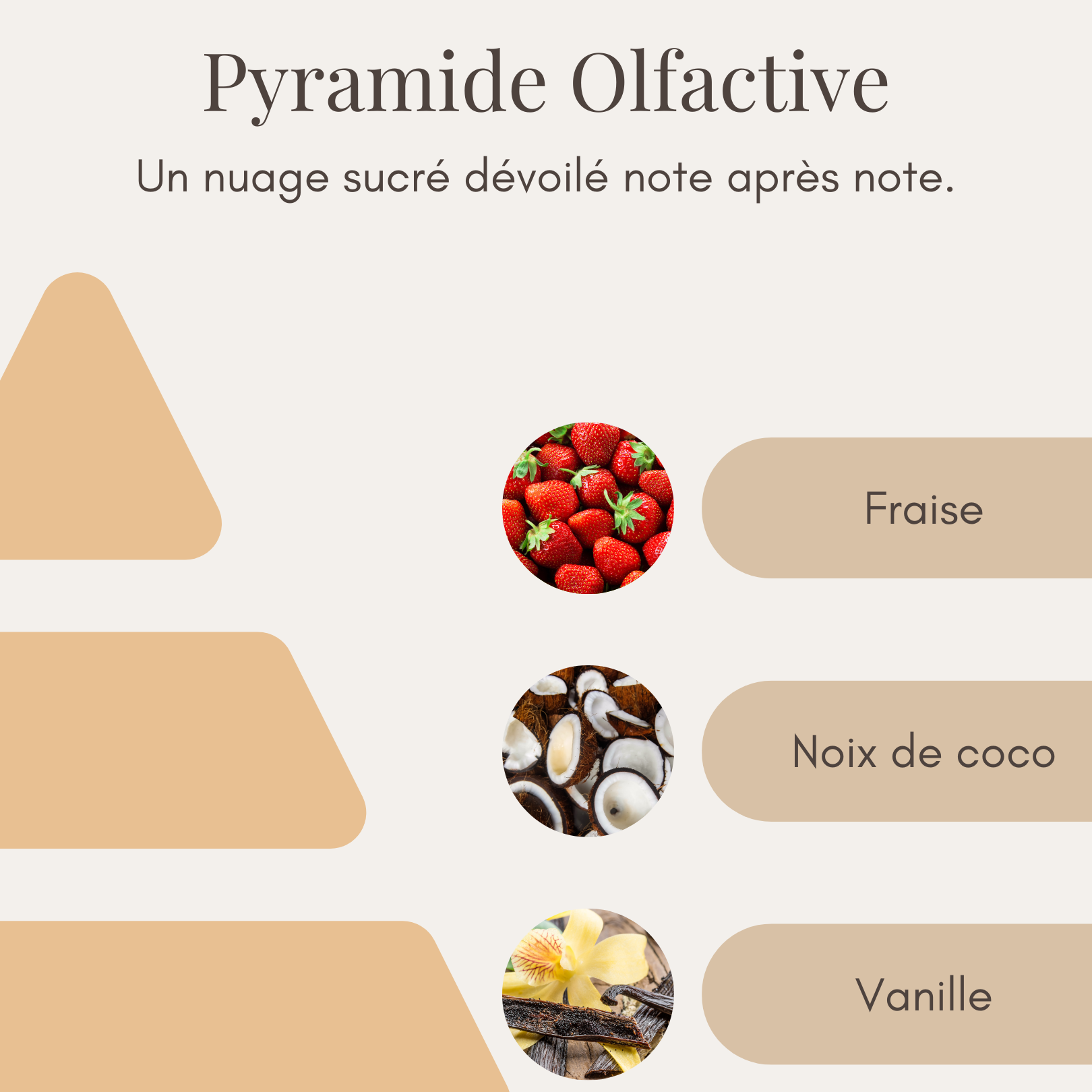 Bougie Parfumée - Guimauve