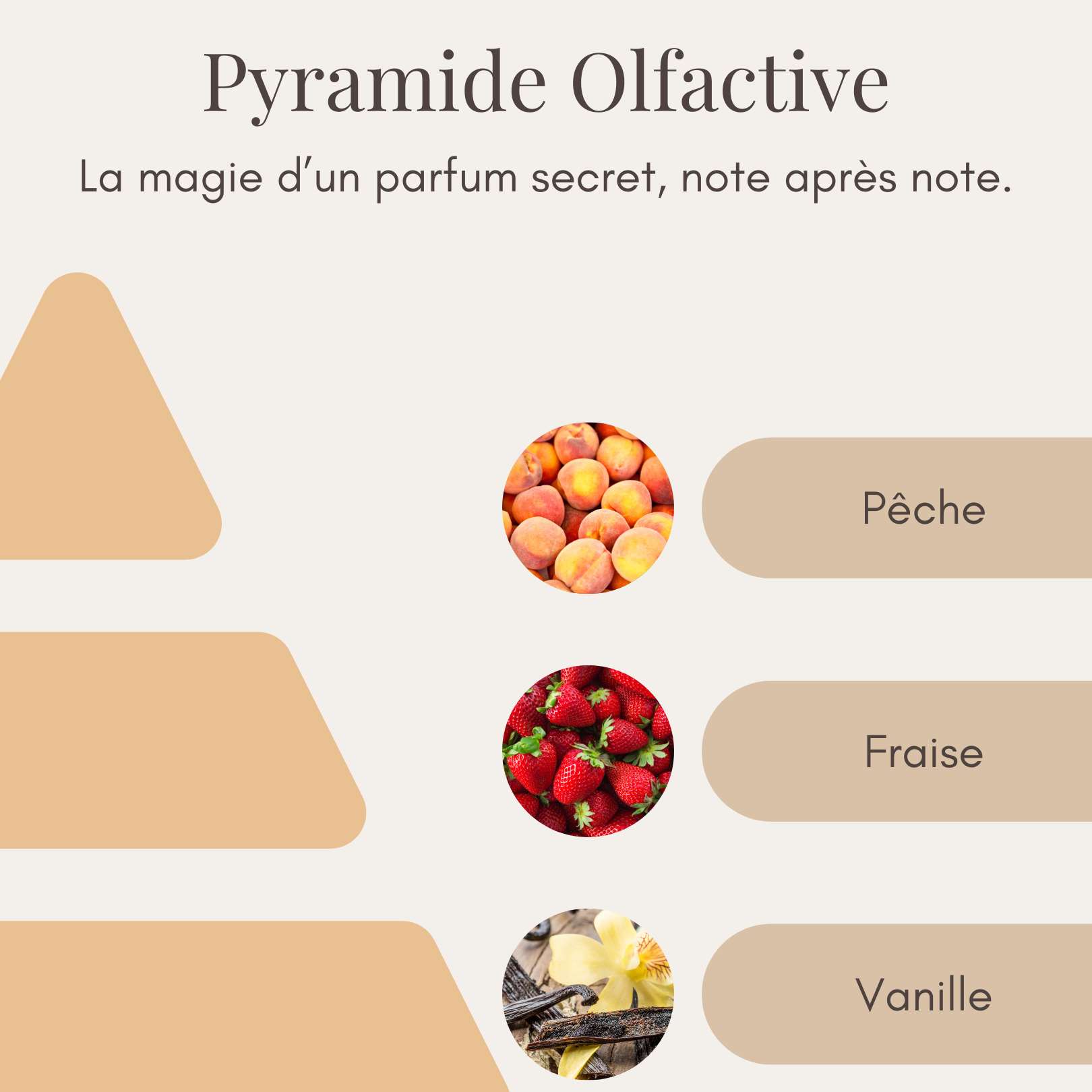 Bougie Parfumée - Potion Magique
