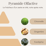 Bougie Parfumée - Citronnelle