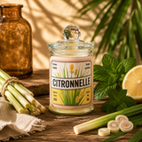 Bougie parfumée artisanale Citronnelle - Cire de soja - Parfum de Grasse