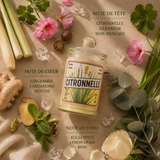 Bougie parfumée artisanale Citronnelle - Cire de soja - Parfum de Grasse